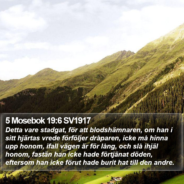 5 Mosebok 19:6 SV1917 Bible Study