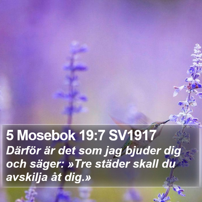 5 Mosebok 19:7 SV1917 Bible Study