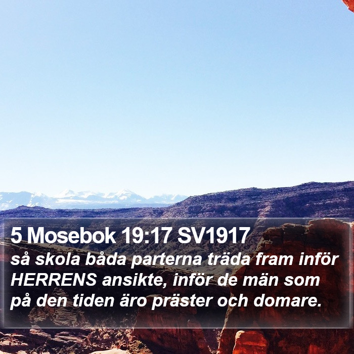 5 Mosebok 19:17 SV1917 Bible Study