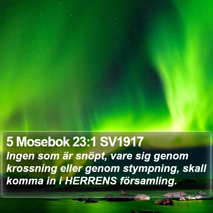5 Mosebok 23:1 SV1917 Bible Study