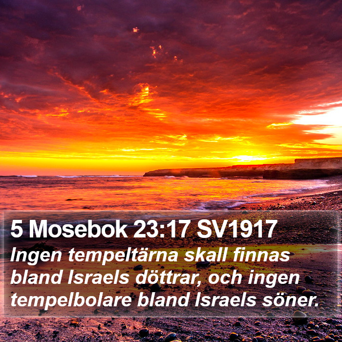 5 Mosebok 23:17 SV1917 Bible Study
