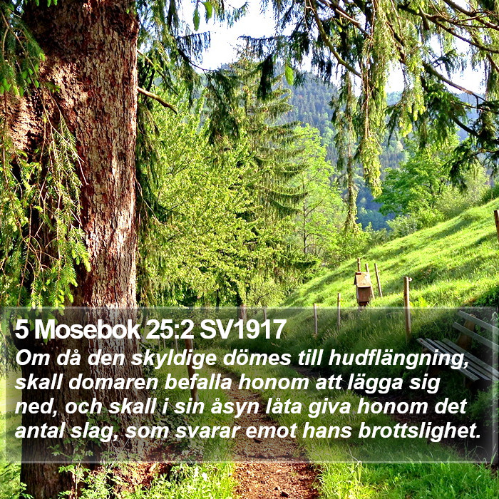 5 Mosebok 25:2 SV1917 Bible Study