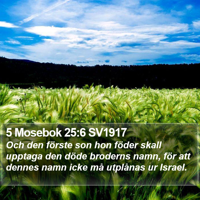 5 Mosebok 25:6 SV1917 Bible Study