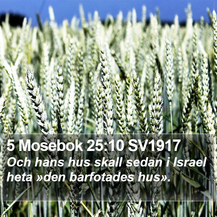 5 Mosebok 25:10 SV1917 Bible Study
