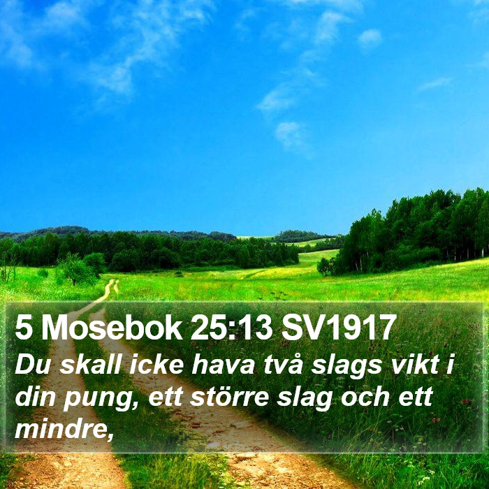 5 Mosebok 25:13 SV1917 Bible Study