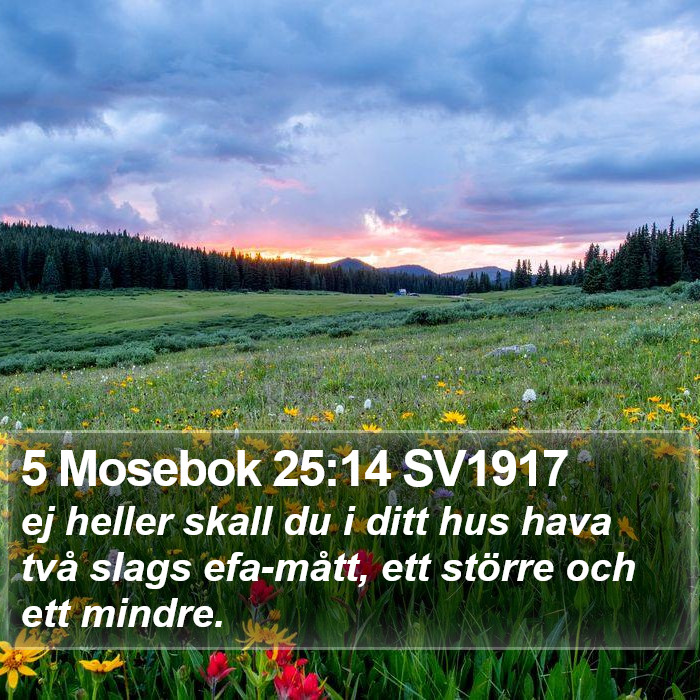5 Mosebok 25:14 SV1917 Bible Study