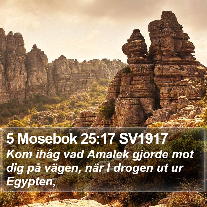 5 Mosebok 25:17 SV1917 Bible Study
