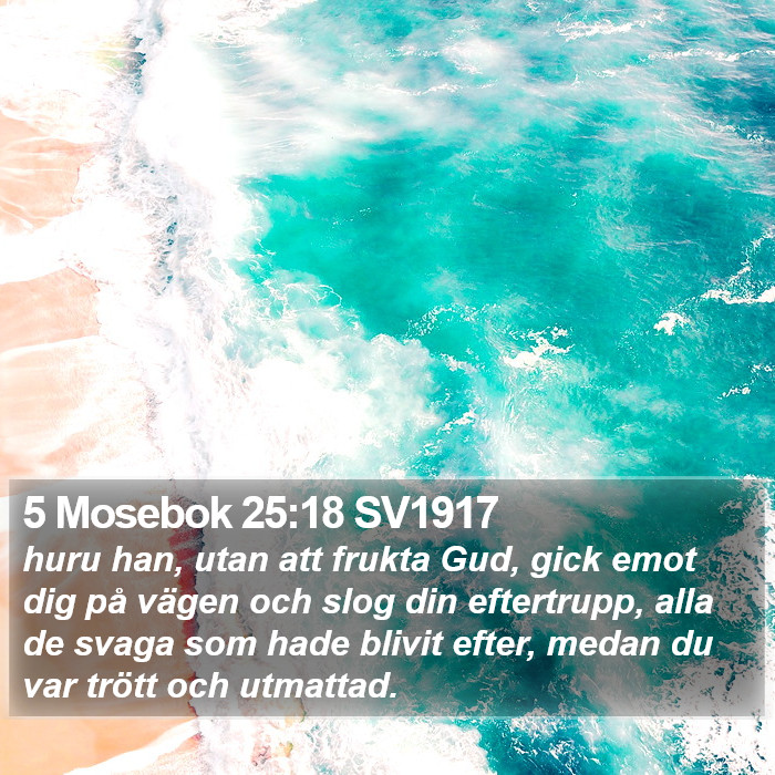 5 Mosebok 25:18 SV1917 Bible Study