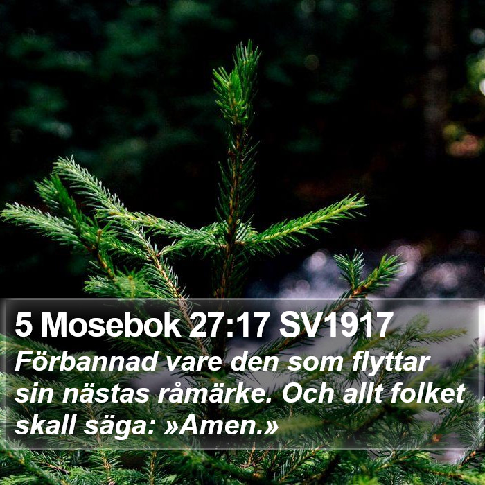 5 Mosebok 27:17 SV1917 Bible Study