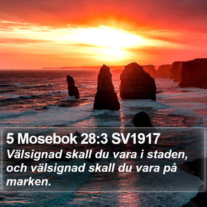 5 Mosebok 28:3 SV1917 Bible Study