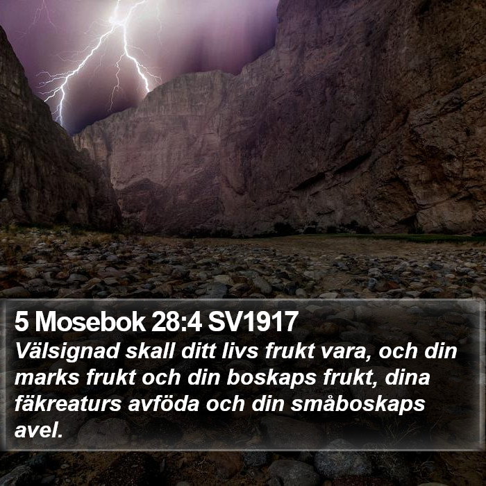 5 Mosebok 28:4 SV1917 Bible Study