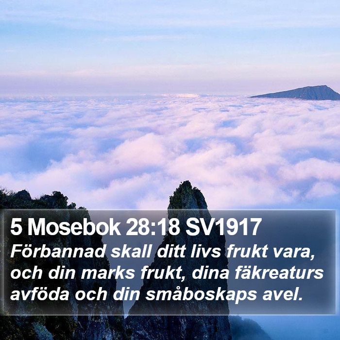 5 Mosebok 28:18 SV1917 Bible Study