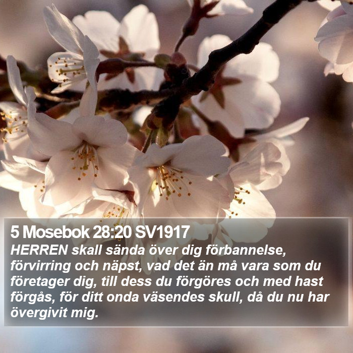 5 Mosebok 28:20 SV1917 Bible Study