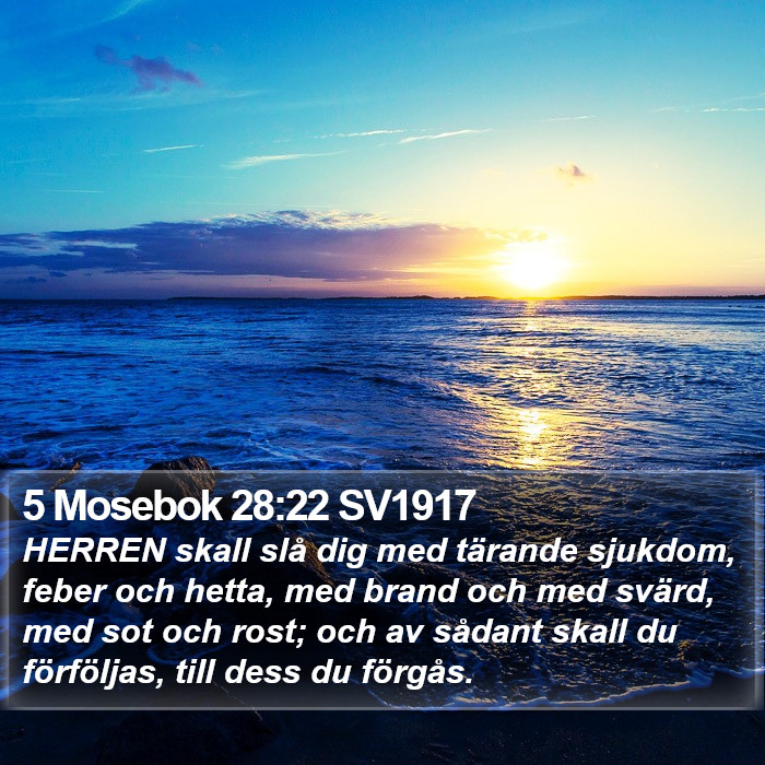 5 Mosebok 28:22 SV1917 Bible Study