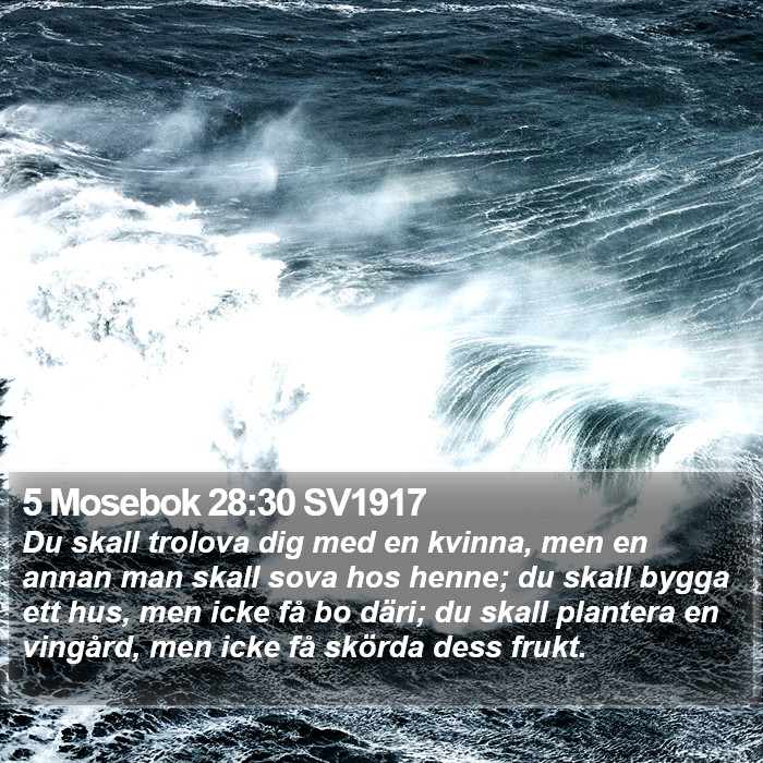 5 Mosebok 28:30 SV1917 Bible Study