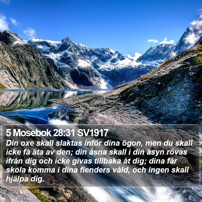 5 Mosebok 28:31 SV1917 Bible Study