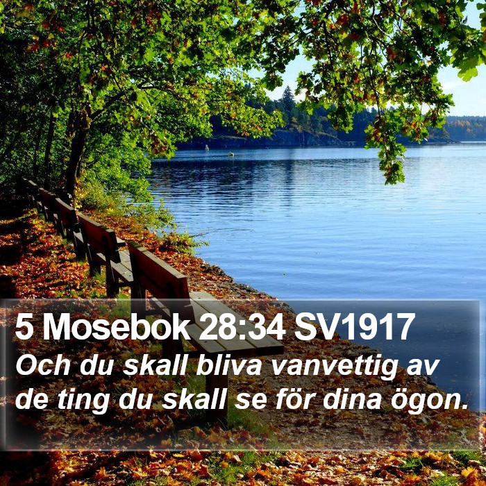 5 Mosebok 28:34 SV1917 Bible Study