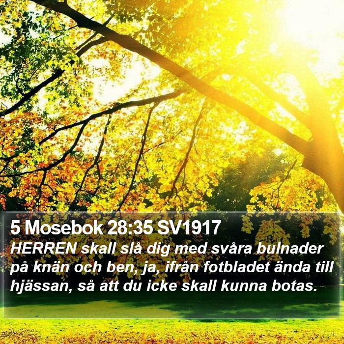 5 Mosebok 28:35 SV1917 Bible Study
