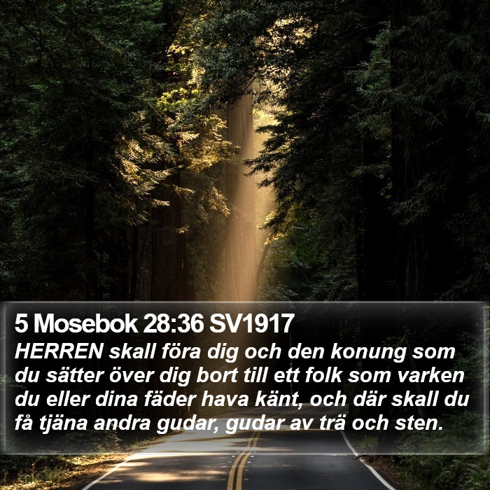 5 Mosebok 28:36 SV1917 Bible Study
