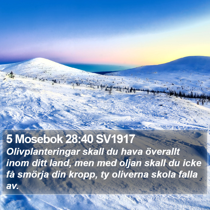 5 Mosebok 28:40 SV1917 Bible Study