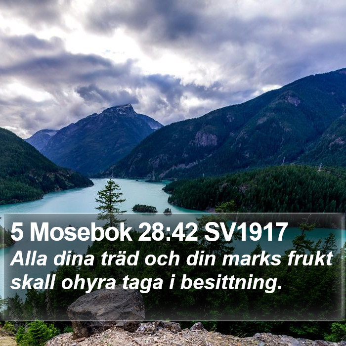 5 Mosebok 28:42 SV1917 Bible Study