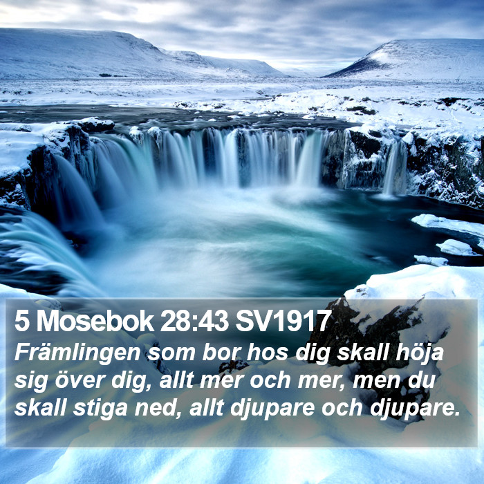 5 Mosebok 28:43 SV1917 Bible Study