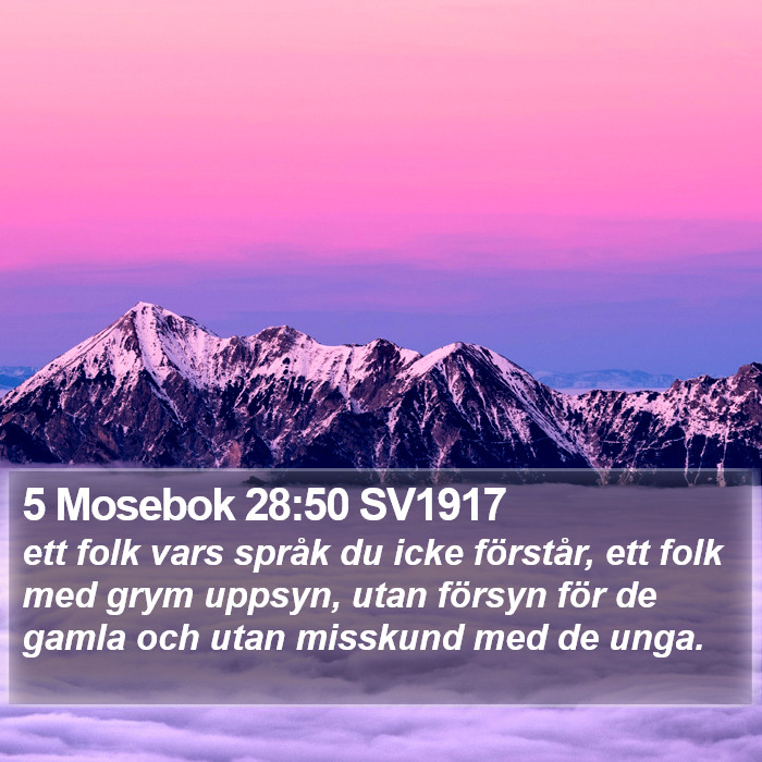 5 Mosebok 28:50 SV1917 Bible Study