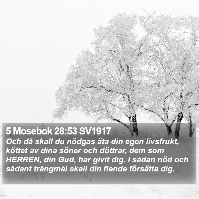 5 Mosebok 28:53 SV1917 Bible Study