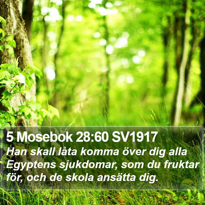 5 Mosebok 28:60 SV1917 Bible Study