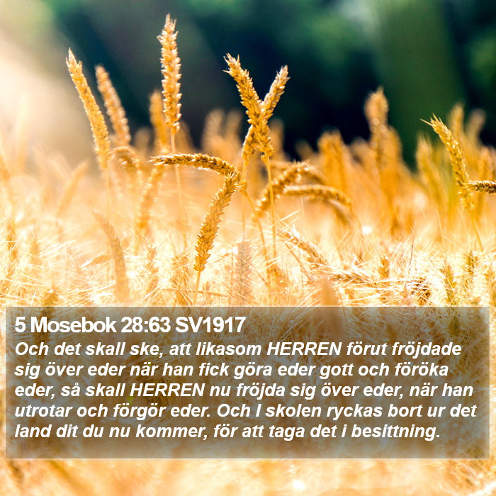 5 Mosebok 28:63 SV1917 Bible Study