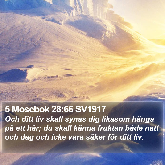 5 Mosebok 28:66 SV1917 Bible Study