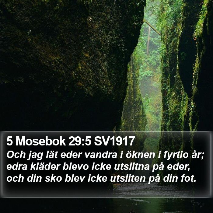 5 Mosebok 29:5 SV1917 Bible Study