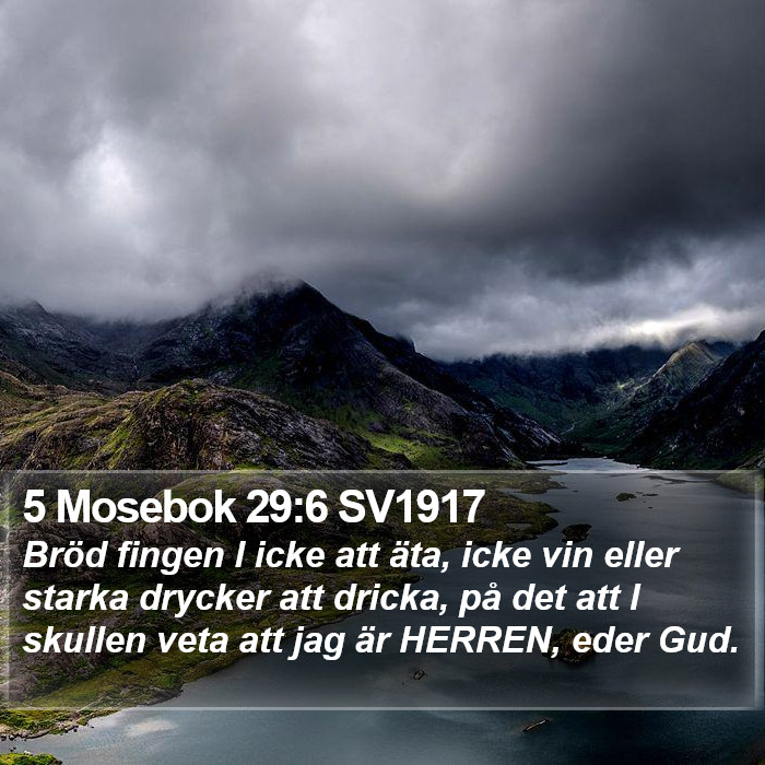 5 Mosebok 29:6 SV1917 Bible Study