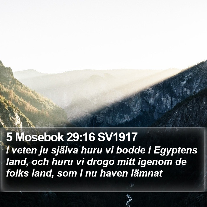 5 Mosebok 29:16 SV1917 Bible Study
