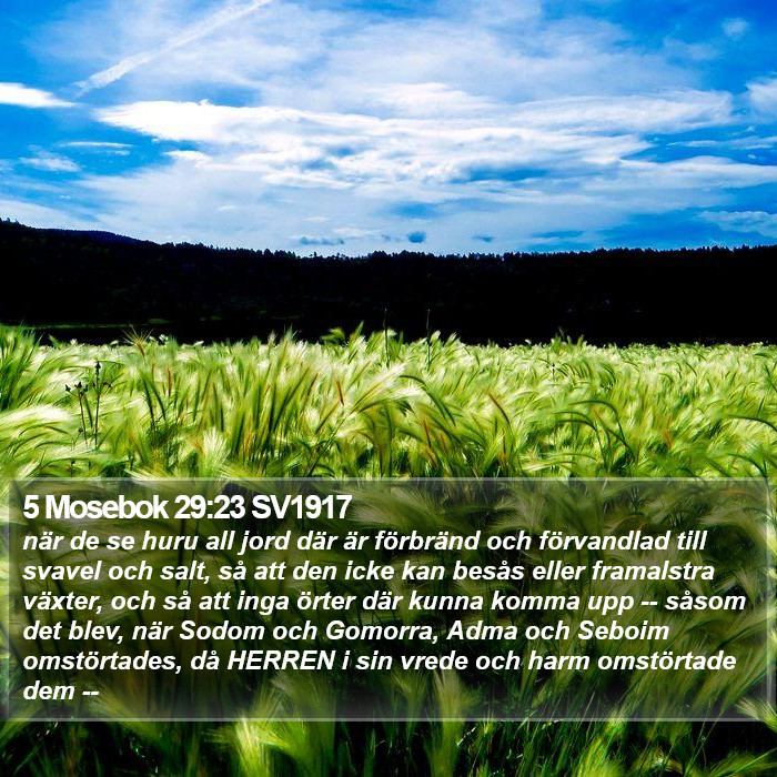 5 Mosebok 29:23 SV1917 Bible Study