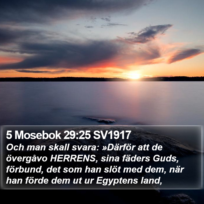 5 Mosebok 29:25 SV1917 Bible Study
