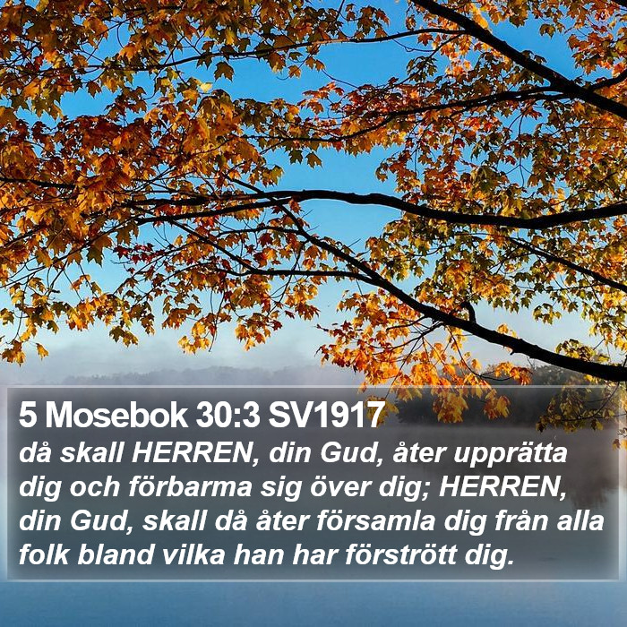 5 Mosebok 30:3 SV1917 Bible Study