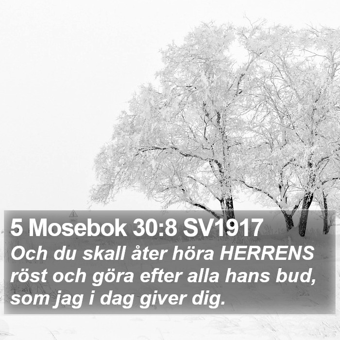 5 Mosebok 30:8 SV1917 Bible Study