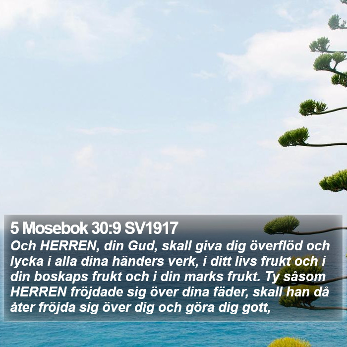 5 Mosebok 30:9 SV1917 Bible Study