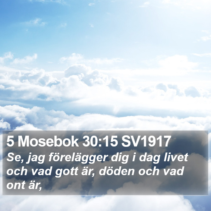 5 Mosebok 30:15 SV1917 Bible Study