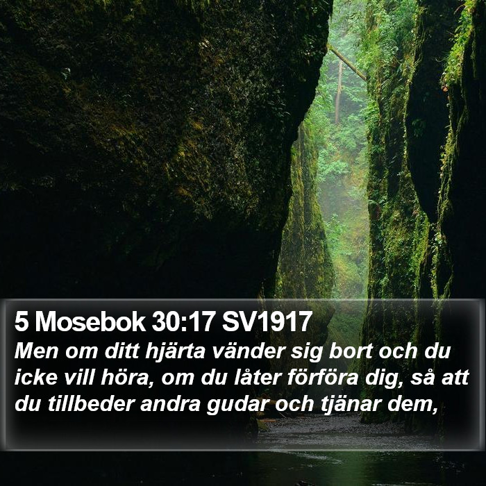 5 Mosebok 30:17 SV1917 Bible Study