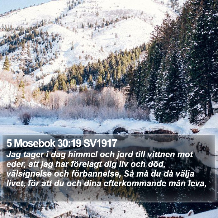 5 Mosebok 30:19 SV1917 Bible Study