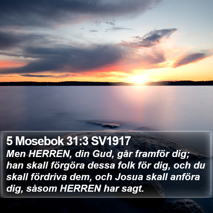 5 Mosebok 31:3 SV1917 Bible Study