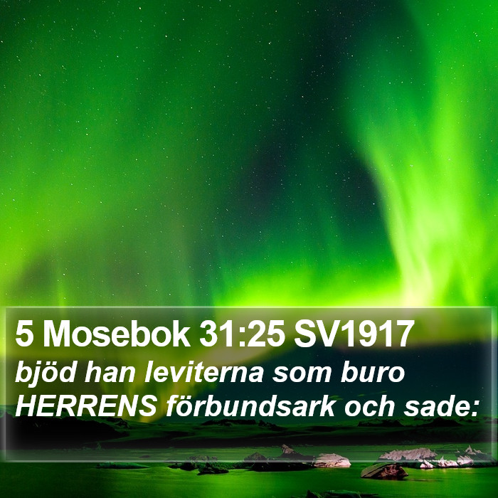 5 Mosebok 31:25 SV1917 Bible Study