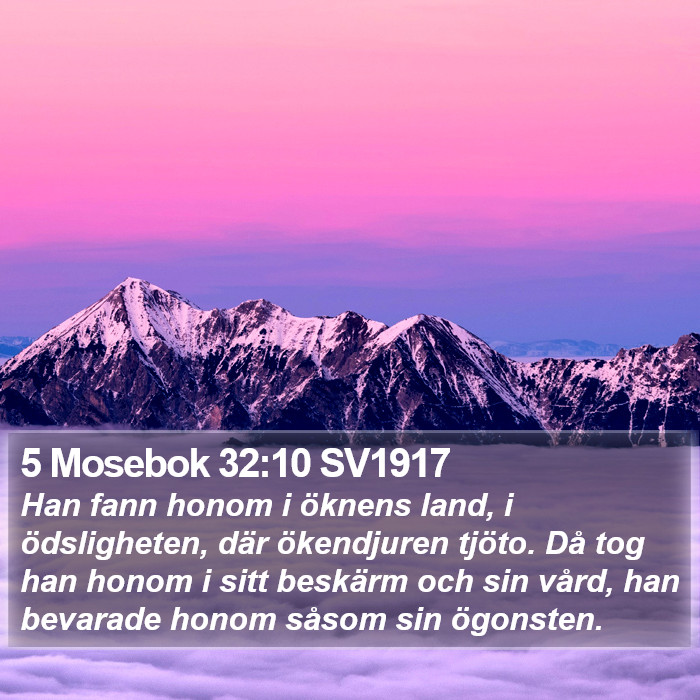 5 Mosebok 32:10 SV1917 Bible Study