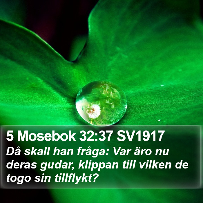 5 Mosebok 32:37 SV1917 Bible Study