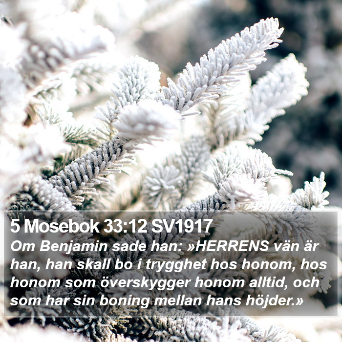 5 Mosebok 33:12 SV1917 Bible Study
