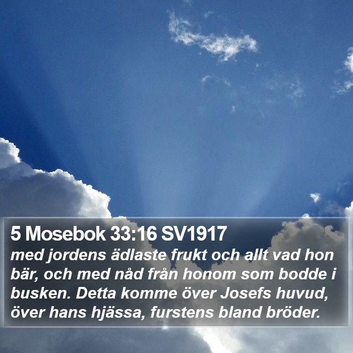 5 Mosebok 33:16 SV1917 Bible Study