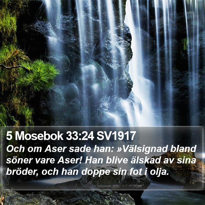 5 Mosebok 33:24 SV1917 Bible Study