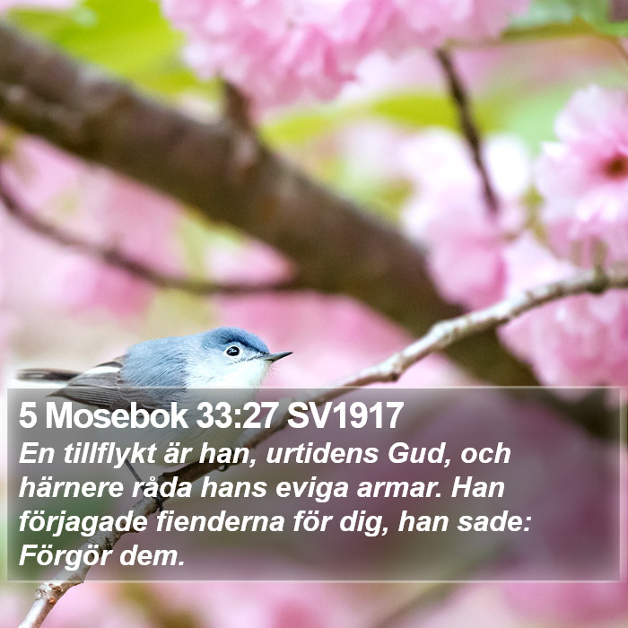 5 Mosebok 33:27 SV1917 Bible Study